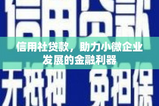宝塔信用社贷款，助力小微企业发展的金融利器