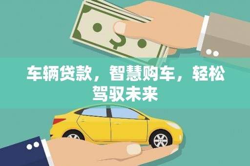 宝塔车辆贷款，智慧购车，轻松驾驭未来