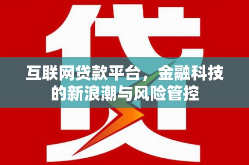 宝塔互联网贷款平台，金融科技的新浪潮与风险管控