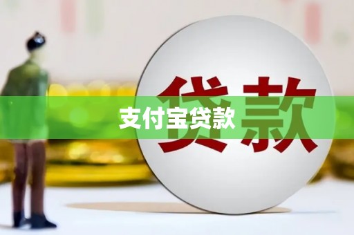 宝塔支付宝贷款