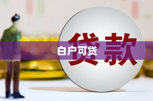 宝塔白户可贷