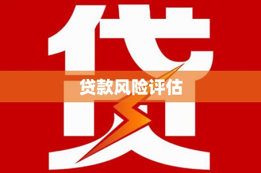 宝塔贷款风险评估