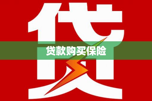 宝塔贷款购买保险