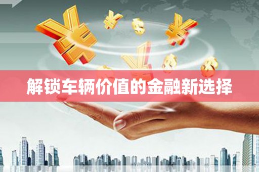 宝塔解锁车辆价值的金融新选择