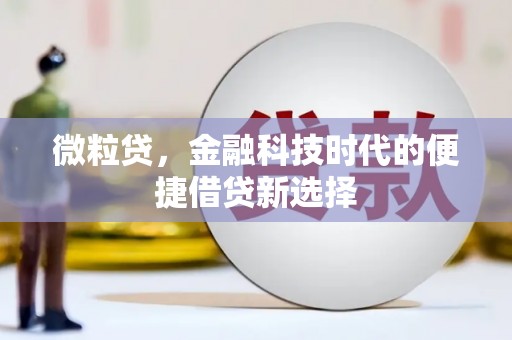 宝塔微粒贷，金融科技时代的便捷借贷新选择