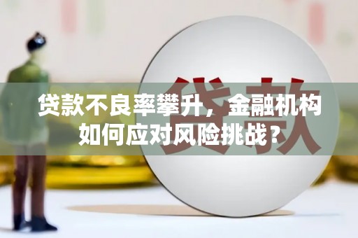 宝塔贷款不良率攀升，金融机构如何应对风险挑战？