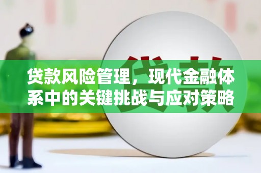 宝塔贷款风险管理，现代金融体系中的关键挑战与应对策略