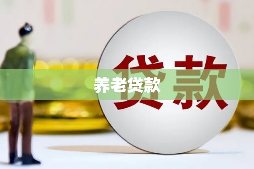 宝塔养老贷款