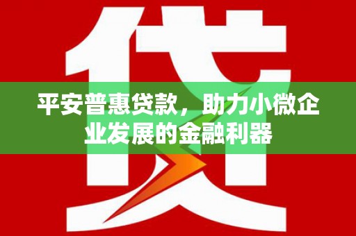 宝塔平安普惠贷款，助力小微企业发展的金融利器
