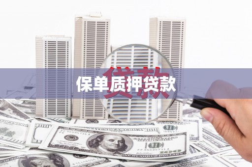 宝塔保单质押贷款