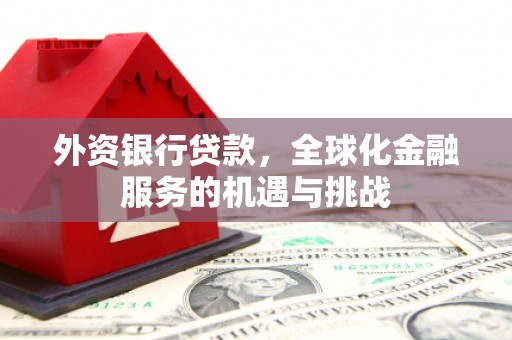 宝塔外资银行贷款，全球化金融服务的机遇与挑战