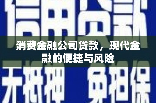 宝塔消费金融公司贷款，现代金融的便捷与风险