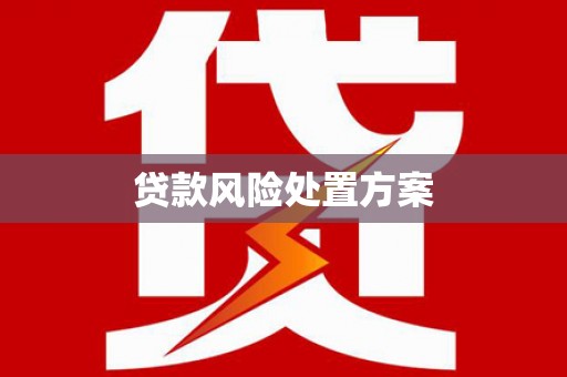 宝塔贷款风险处置方案
