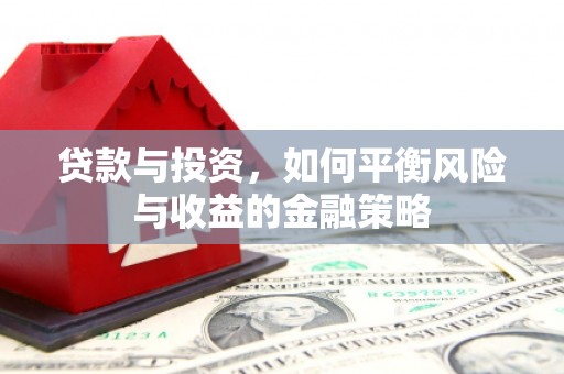 宝塔贷款与投资，如何平衡风险与收益的金融策略