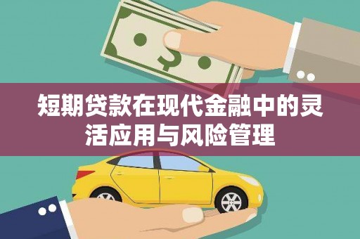 宝塔短期贷款在现代金融中的灵活应用与风险管理
