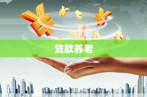 宝塔贷款养老