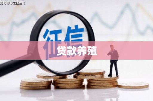 宝塔贷款养殖