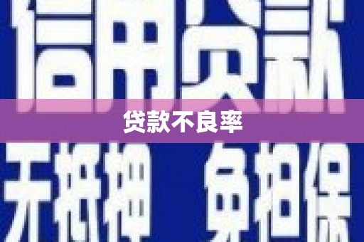 宝塔贷款不良率
