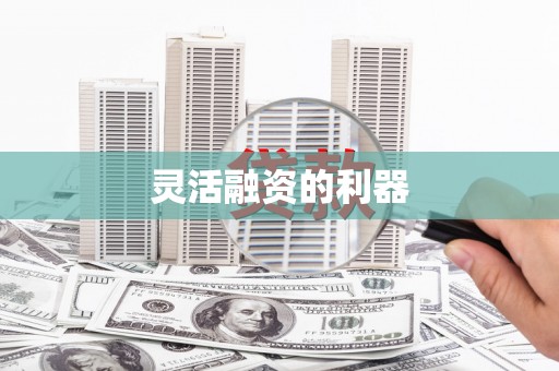 宝塔灵活融资的利器