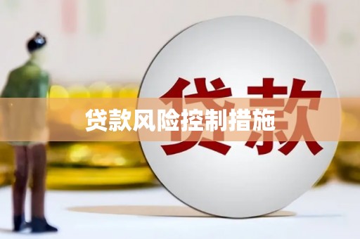 宝塔贷款风险控制措施