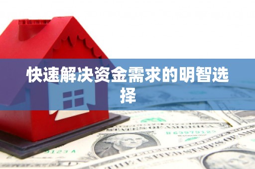 宝塔快速解决资金需求的明智选择