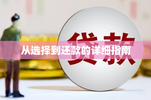 宝塔从选择到还款的详细指南