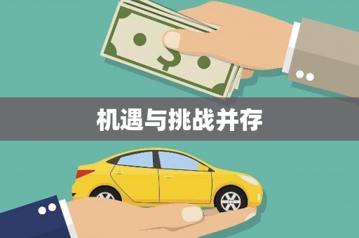 宝塔机遇与挑战并存