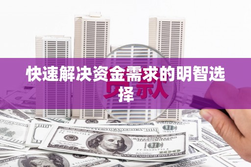 宝塔快速解决资金需求的明智选择
