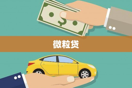 宝塔微粒贷