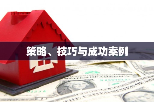 宝塔策略、技巧与成功案例