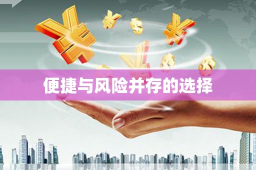 宝塔便捷与风险并存的选择