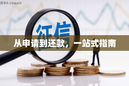宝塔从申请到还款，一站式指南