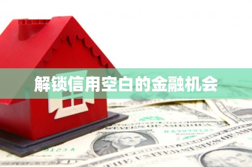 宝塔解锁信用空白的金融机会