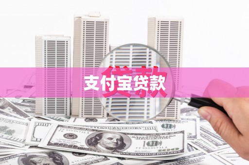 宝塔支付宝贷款