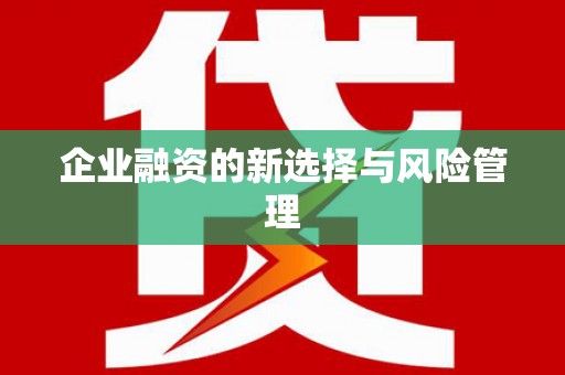 宝塔企业融资的新选择与风险管理