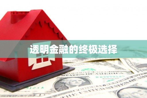 宝塔透明金融的终极选择