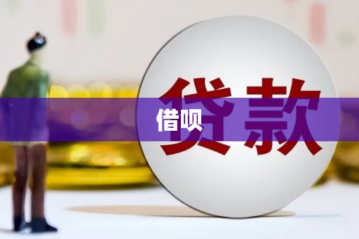 宝塔借呗