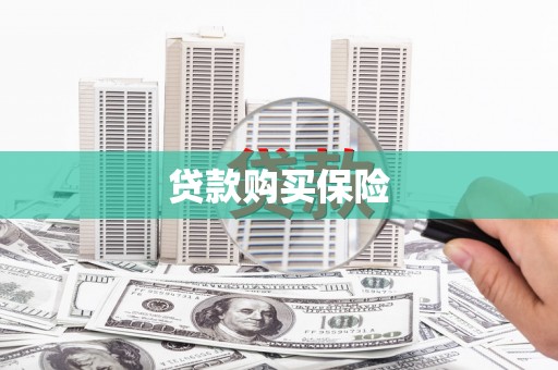 宝塔贷款购买保险