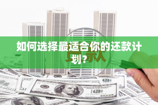 宝塔如何选择最适合你的还款计划？