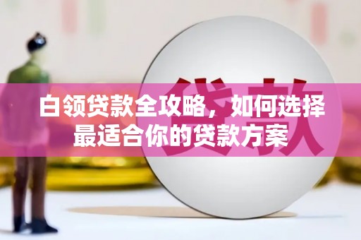 宝塔白领贷款全攻略，如何选择最适合你的贷款方案