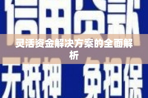 宝塔灵活资金解决方案的全面解析
