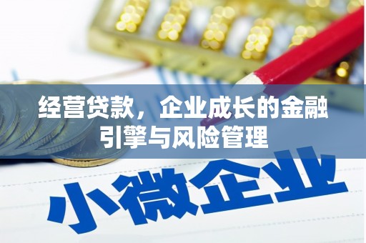 宝塔经营贷款，企业成长的金融引擎与风险管理