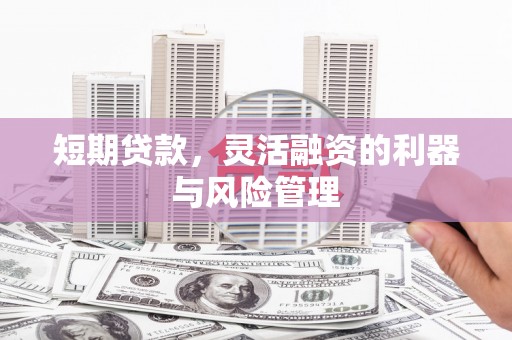 宝塔短期贷款，灵活融资的利器与风险管理