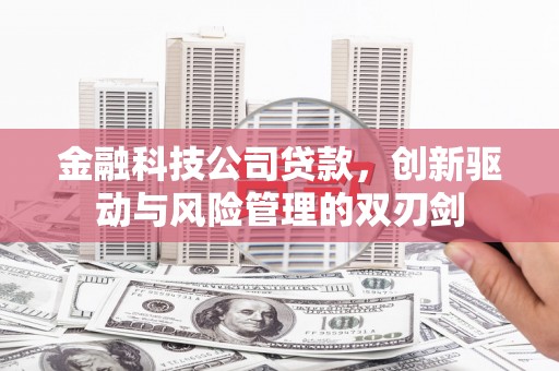 宝塔金融科技公司贷款，创新驱动与风险管理的双刃剑
