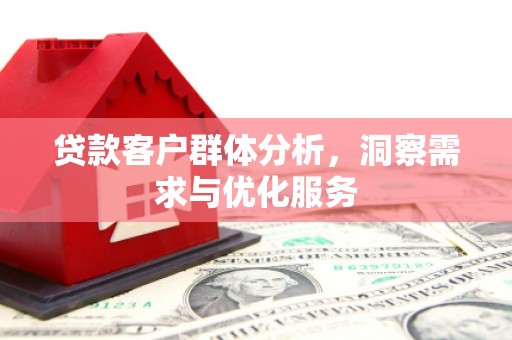 宝塔贷款客户群体分析，洞察需求与优化服务